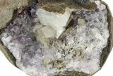 Amethyst Crystals and Chabazite in Basalt - India #220164-1